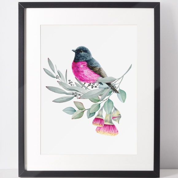 Pink Robin Bird Wall Art Watercolor Illustration Print Poster Card Unframed - Picture 2 of 7